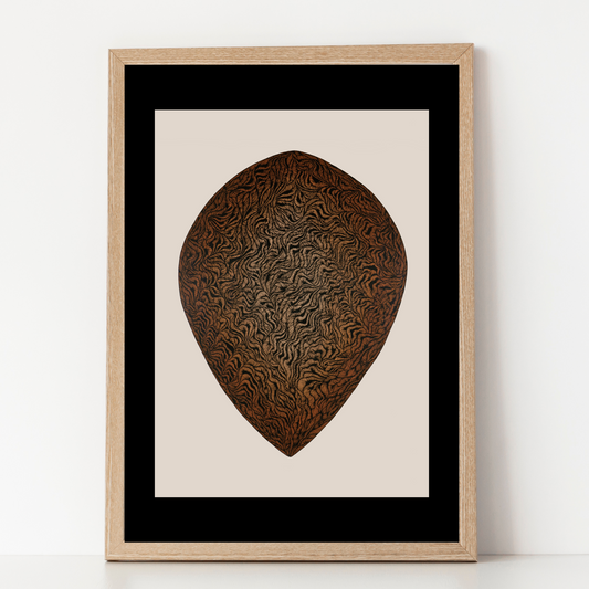 Seed Fine Art Archival Print